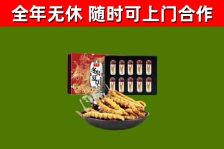 岳塘区回收冬虫夏草价格